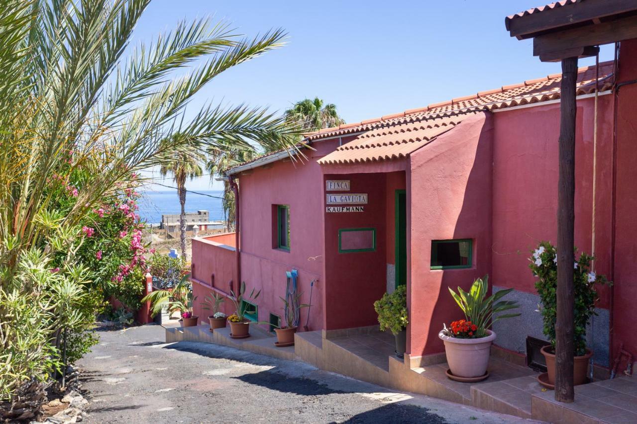 Finca La Gaviota - El Marmol イコー・デ・ロス・ビノス エクステリア 写真